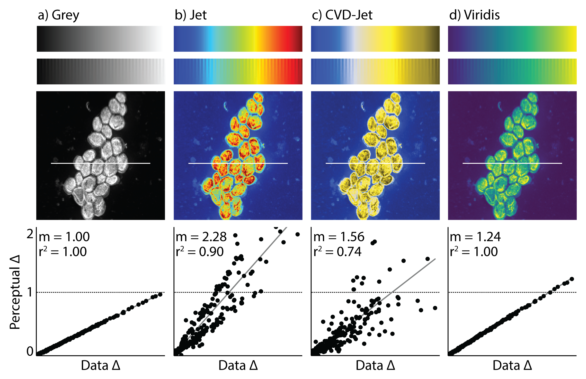 Figure 1 in Nuñez, Anderton & Renslow (2018) PLoS One: Example of a misleading colormap. Comparison between different colormaps overlaid onto the test image by Kovesi and a nanoscale secondary ion mass spectrometry image. Colormaps are as follows: (a) perceptually uniform grayscale, (b) jet, (c) jet as it appears to someone with red-green colorblindness, and (d) viridis [1], the current gold standard colormap. Below each NanoSIMS image is a corresponding “colormap-data perceptual sensitivity” (CDPS) plot, which compares perceptual differences of the colormap to actual, underlying data differences. m is the slope of the fitted line and r2 is the coefficient of determination calculated using a simple linear regression. An example of how the data may be misinterpreted are evident in the bright yellow spots in (b) and (c), which appear to represent significantly higher values than the surrounding regions. However, in fact, the dark red (in b) and dark yellow (in c) actually represent the highest values. For someone who is red-green colorblind, this is made even more difficult to interpret due to the broad, bright band in the center of the colormap with values that are difficult to distinguish.