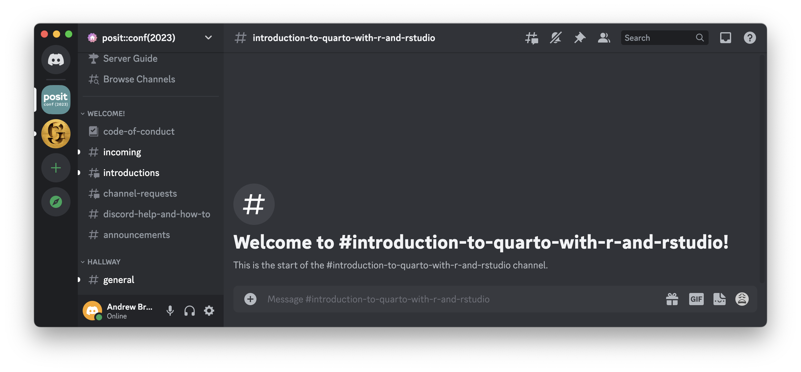 Screenshot of the discord server app that serves as the forum for the workshop.