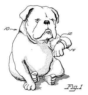 Dog watching a watch.