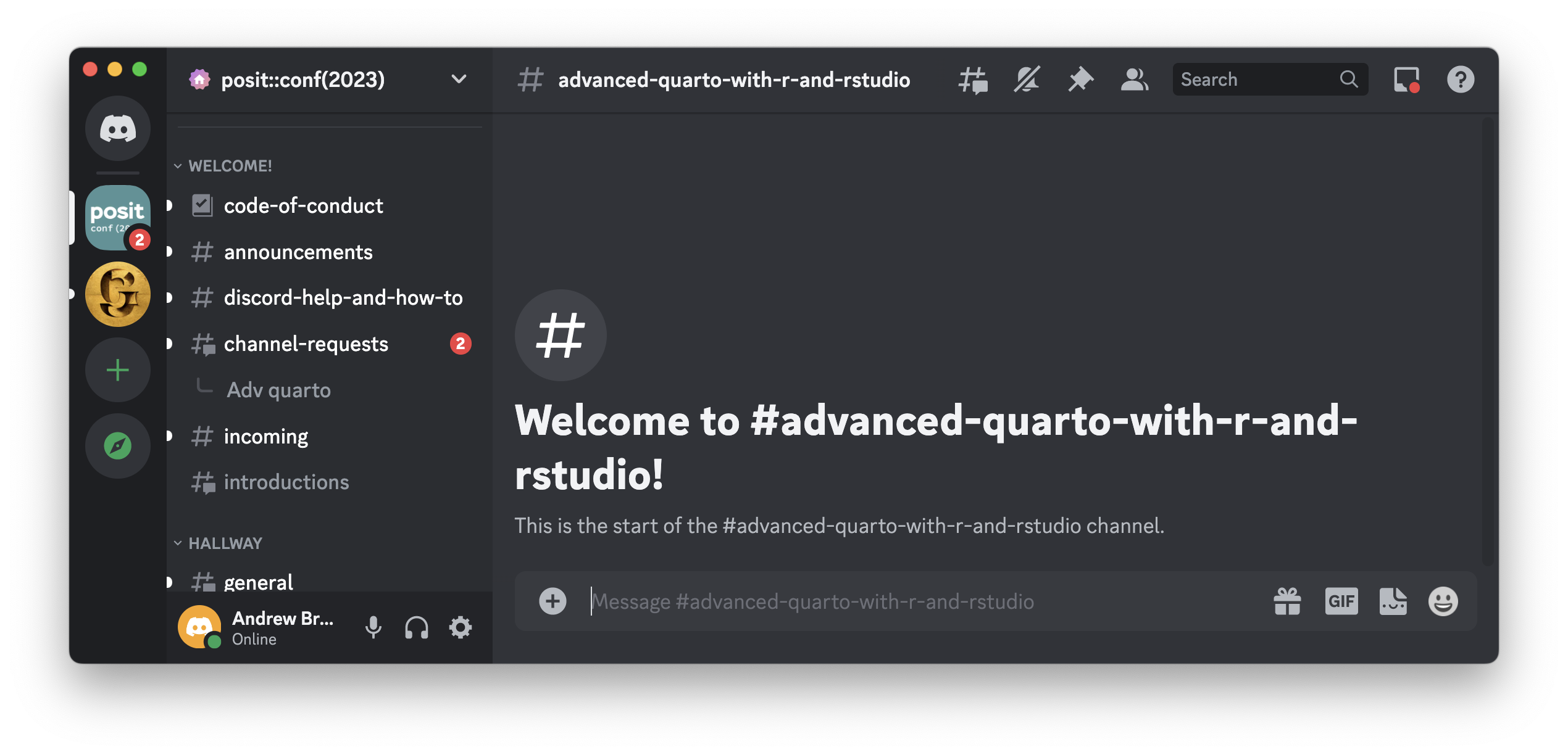 Screenshot of the discord server app that serves as the forum for the workshop.